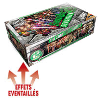 Feu d'Artifice Showbox Sensation 2Min