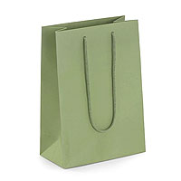 Sac Cadeau Invités Papier Vert Sauge 19 x 27 cm