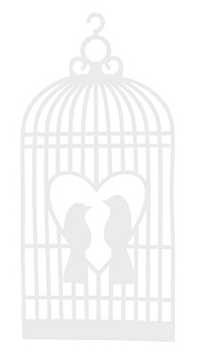 Cage Oiseaux Feutrine Décoration