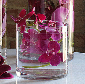 Pot Verre Cylindrique Transparent Déco Florale Orchidée