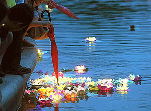 Fleurs Flottantes Lotus Thai pas cher