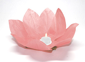 Lanterne flottante lotus Thai rose