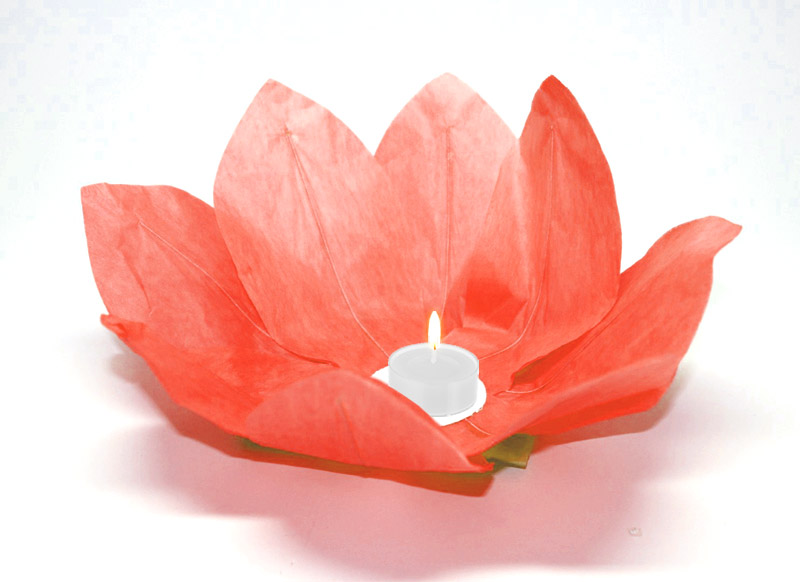 Lanterne flottante lotus Thai rouge