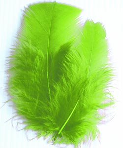 Plumes Décoration Mariage Vert Anis