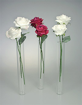Mini Vases Eprouvettes Tube avec Roses