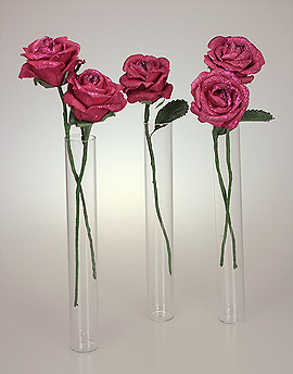 Mini Vases Eprouvettes Tube avec Roses Fuchsia
