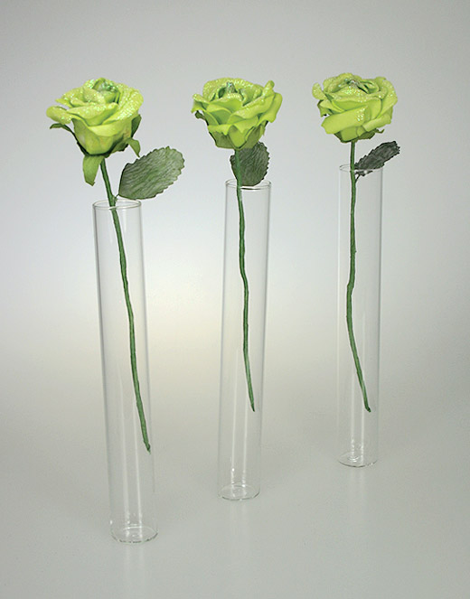 Mini Vases Eprouvettes Tube avec Roses Vert Anis