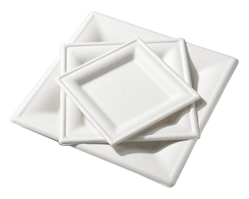 Assiette jetable blanche biodegradable
