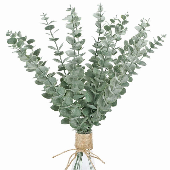Bouquet feuilles d'eucalyptus