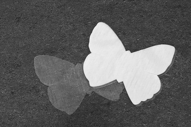 Sac 50 Confettis Papillons Organdi Blanc