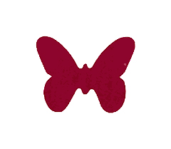 Dessous de Verre Papillons x12